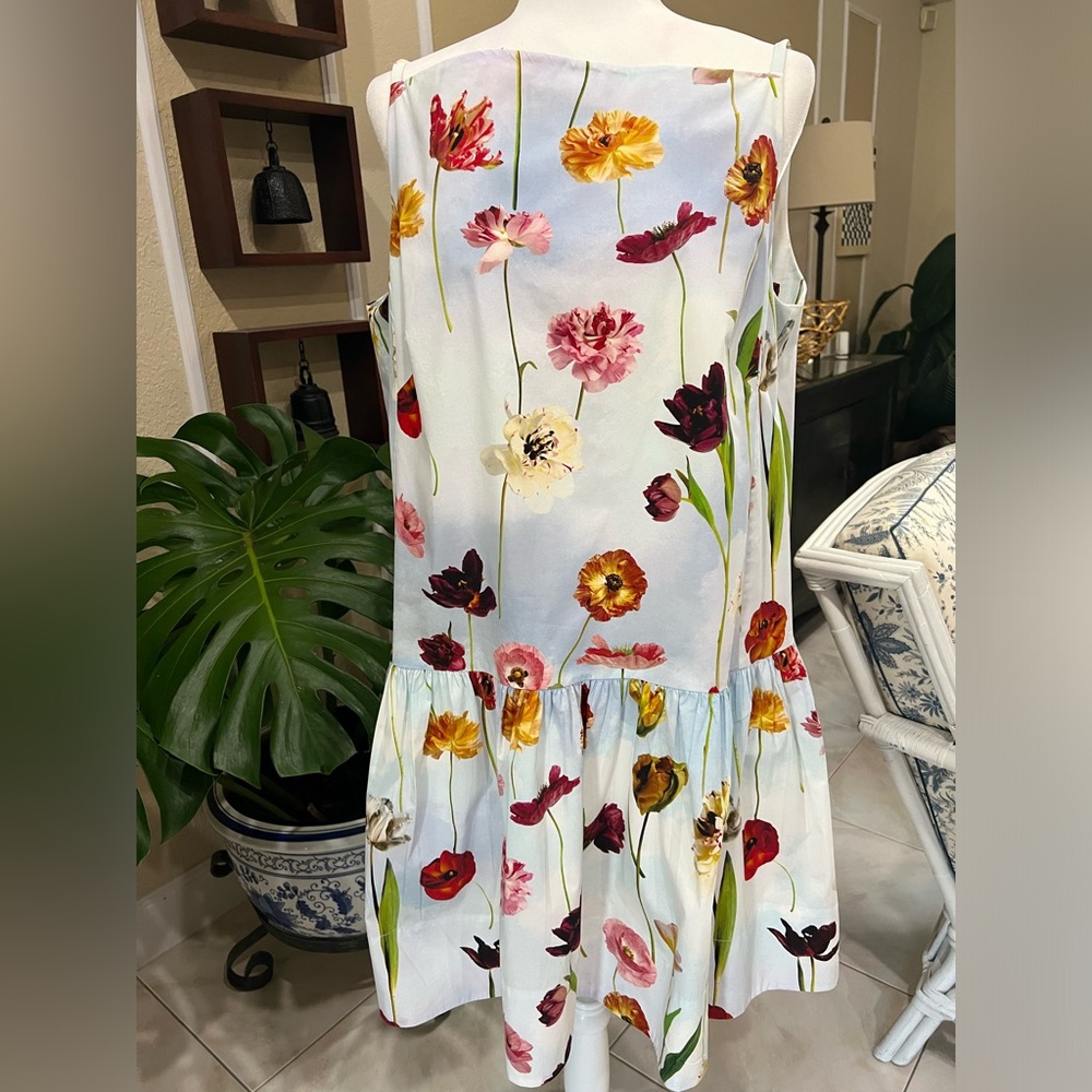 Floral sky print drop waist dress.